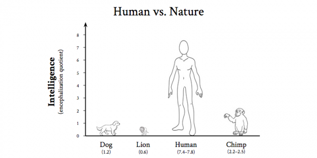 encephalization_quotient